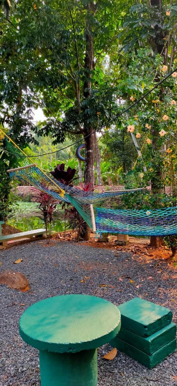 Kuttickattil Gardens Homestay Kottayam Exterior photo