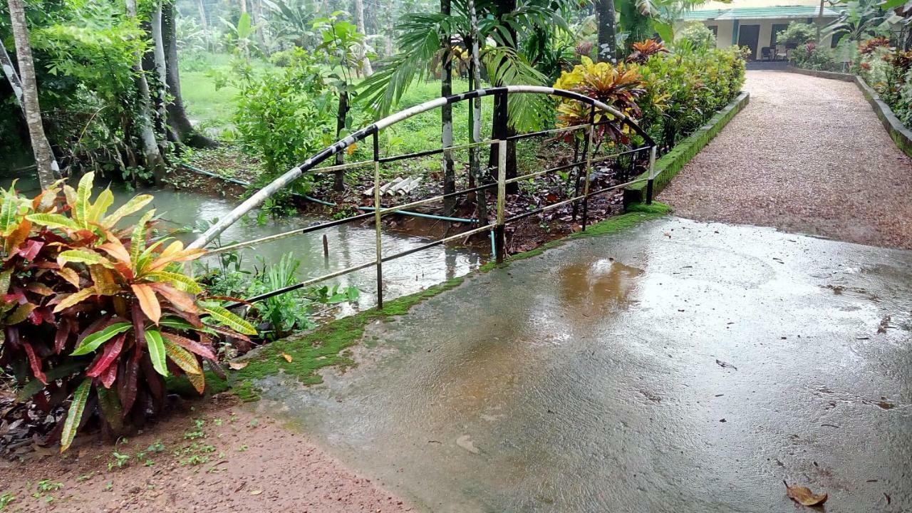 Kuttickattil Gardens Homestay Kottayam Exterior photo